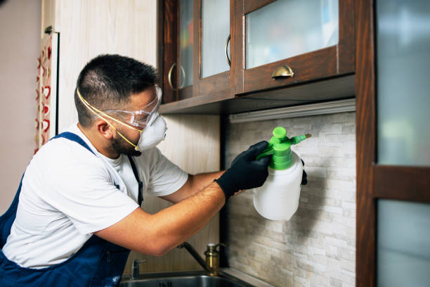 Best Flea Control Services  in Kershaw, SC