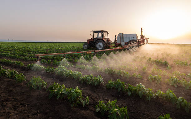 Best Mosquito Control Services  in Kershaw, SC