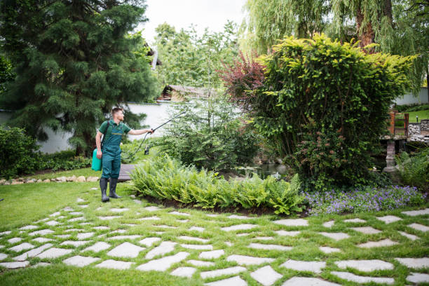 Best Ant Control Services  in Kershaw, SC