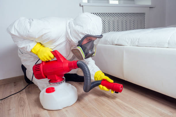 Best Local Pest Control Services  in Kershaw, SC