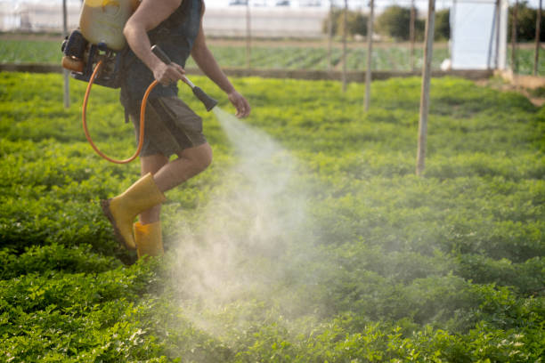 Best Pest Control Treatment  in Kershaw, SC
