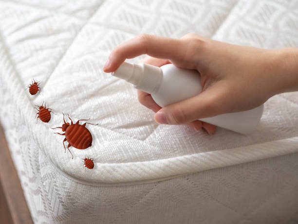 Best Exterminator Services  in Kershaw, SC